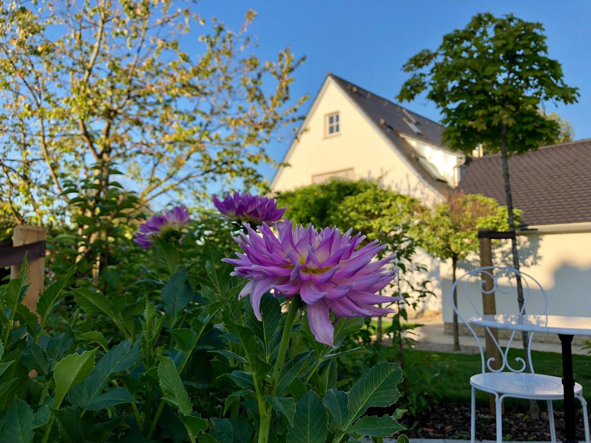 B & B Villa Dahlia Backnang Exterior foto
