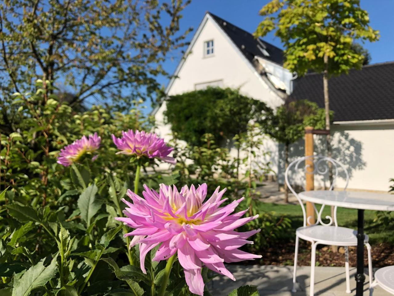 B & B Villa Dahlia Backnang Exterior foto